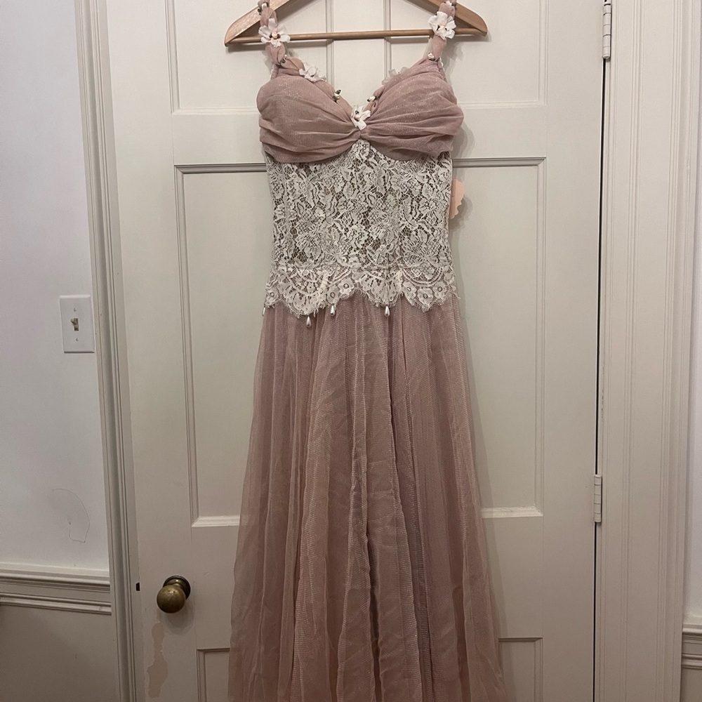 Delicate Flower-Embellished Lace Corset Dress in Blush - Picture 4 of 7